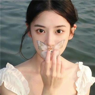 犯罪生涯